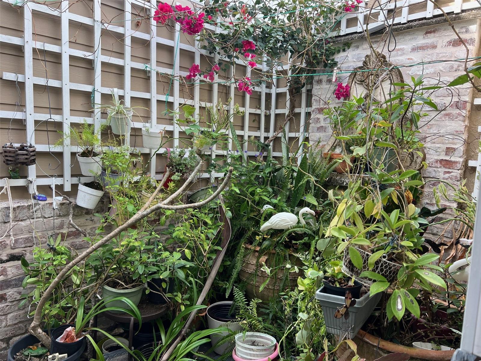 Image 13 of 33 For 2833 Orange Tree Circle N C