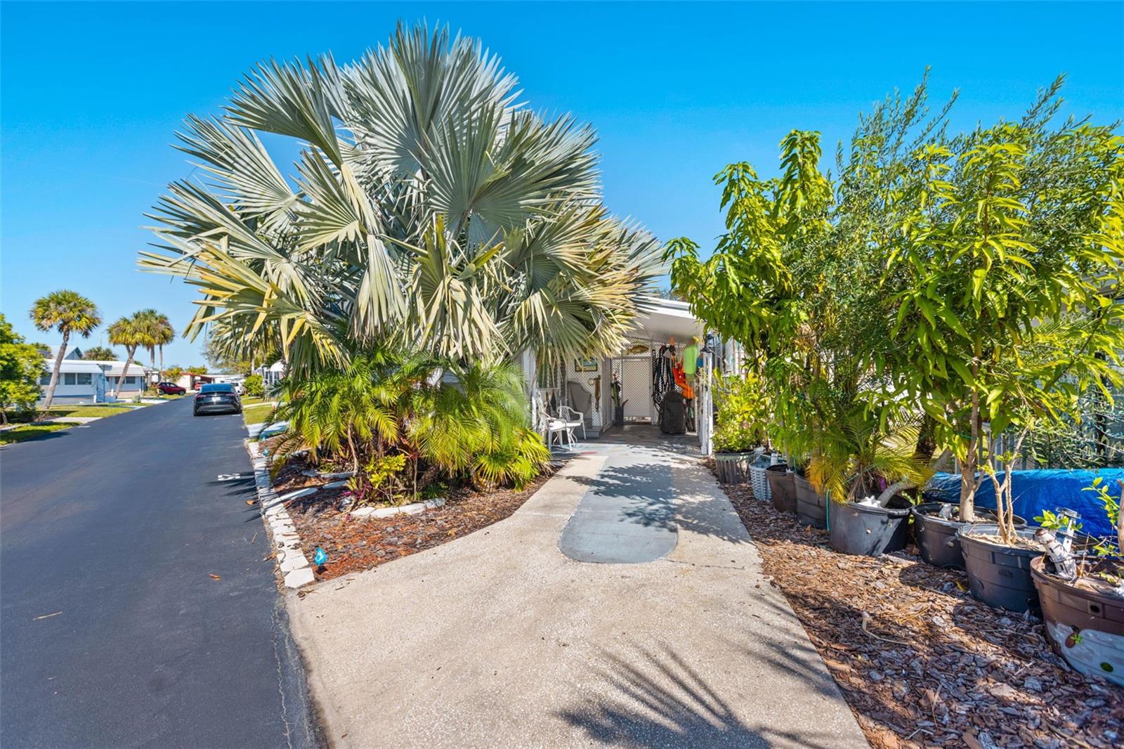 Listing photo id 2 for 4851 Gandy Boulevard B2l25