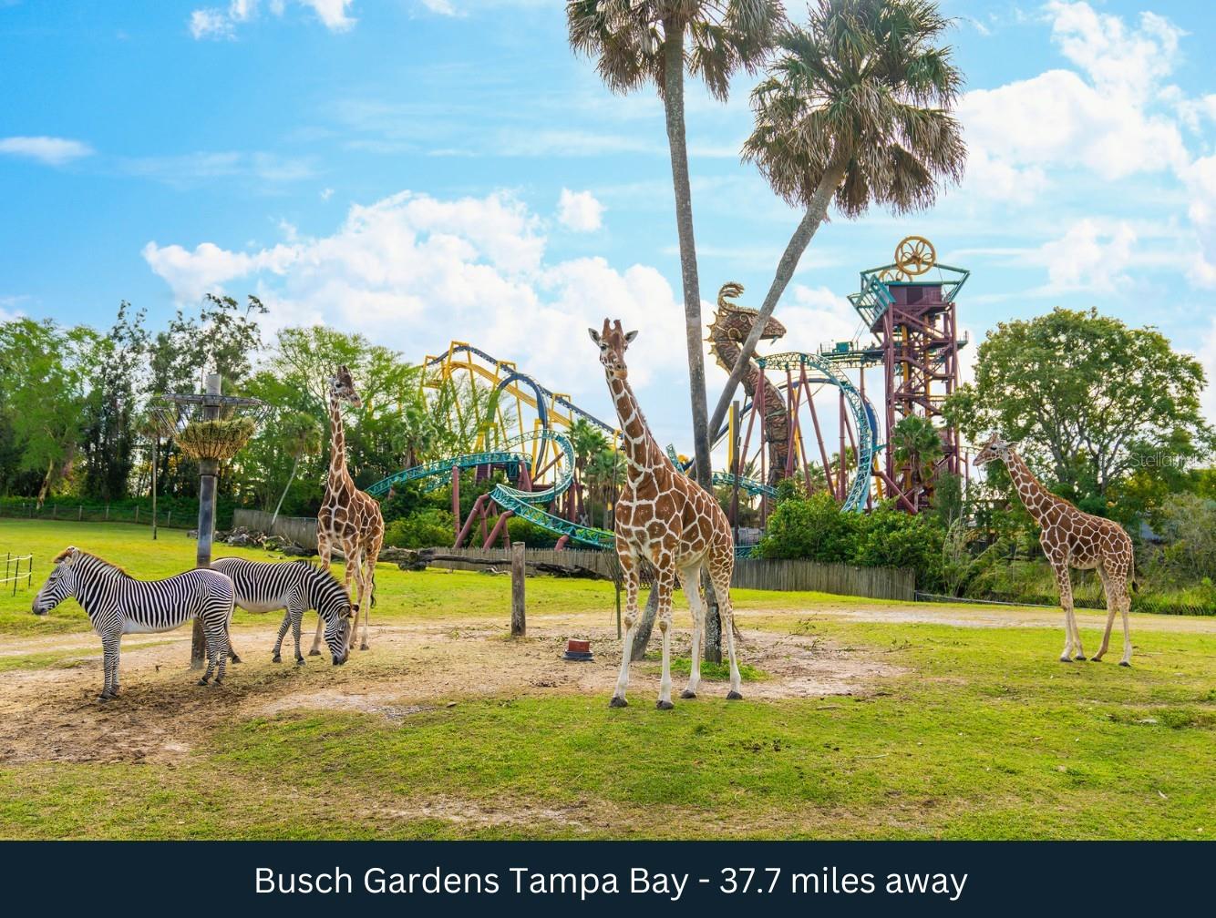 Image 11 of 20 For 8201 Us Highway 98 N