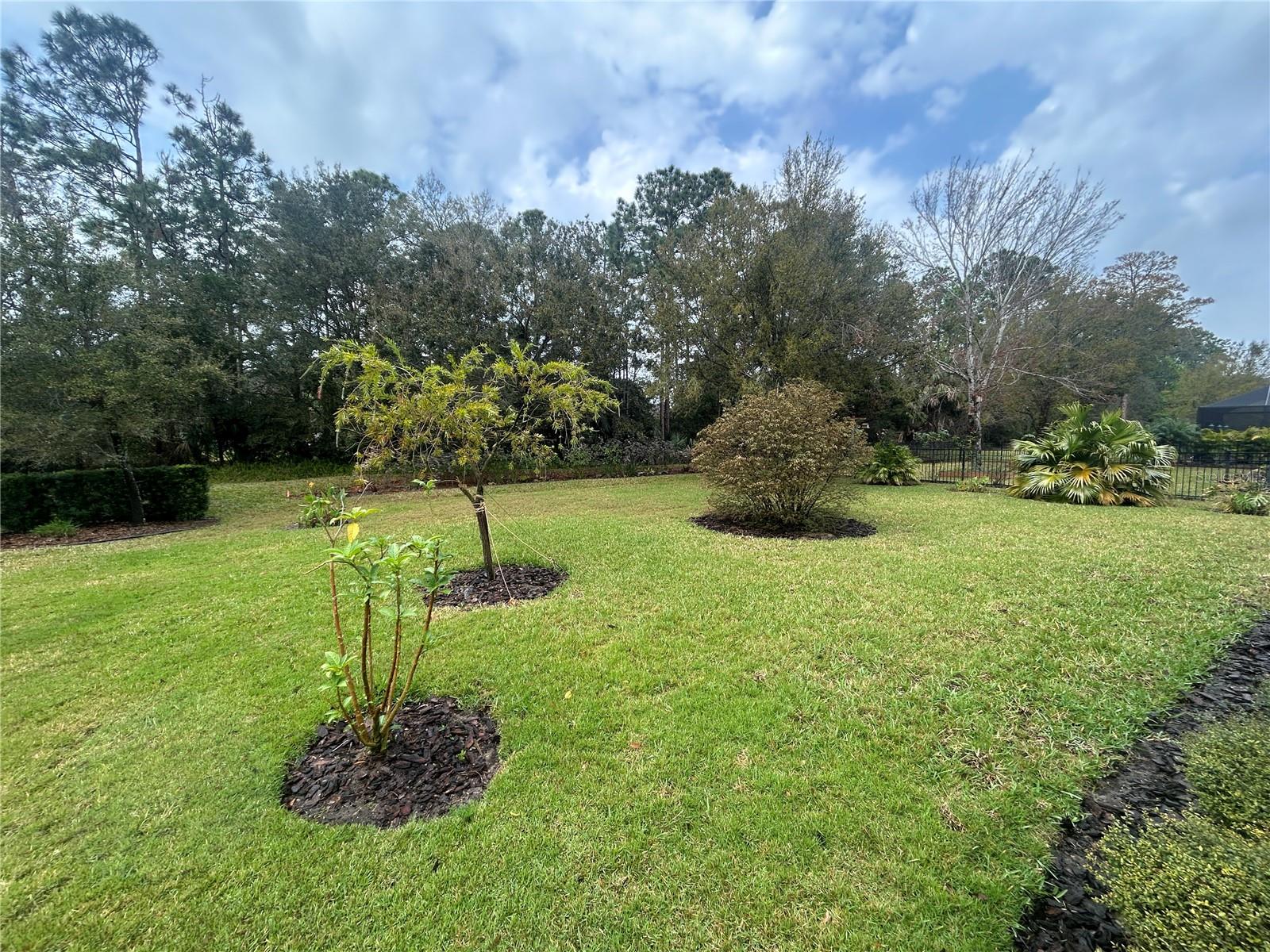 Image 2 of 15 For 665 Elk River Drive