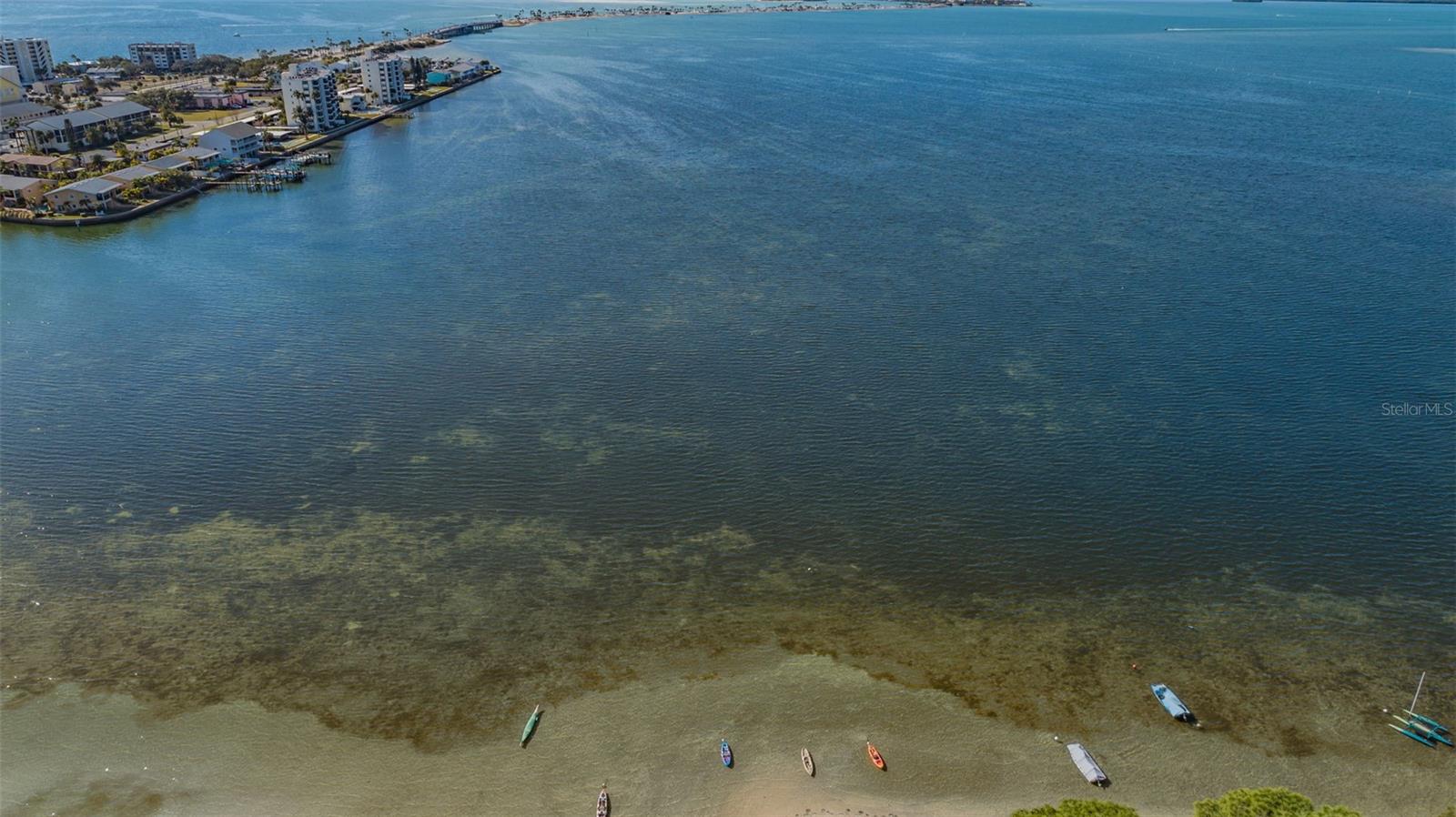 Image 44 of 53 For 2700 Bayshore Boulevard 555