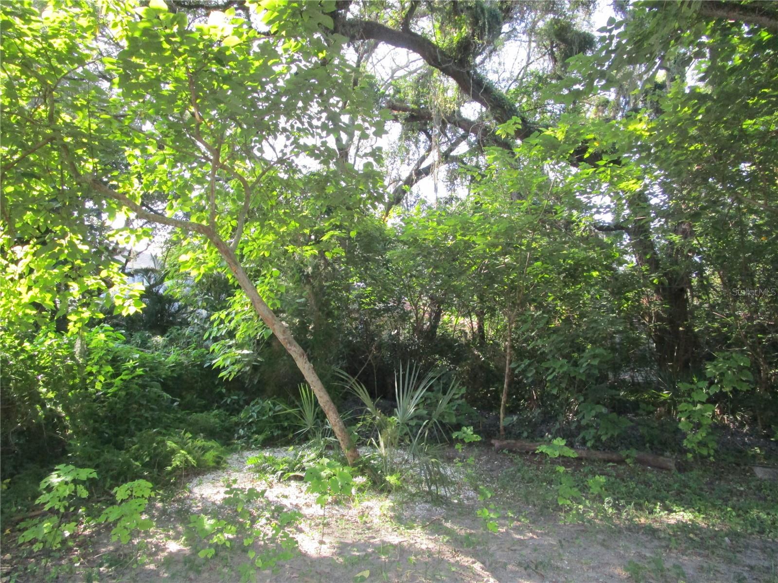 Image 15 of 15 For 1315 Osborne Avenue