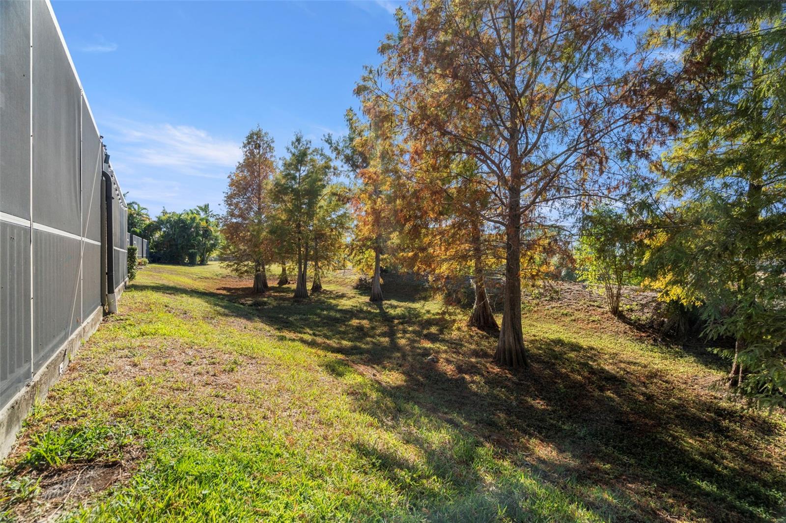 Image 33 of 42 For 1342 Ribolla