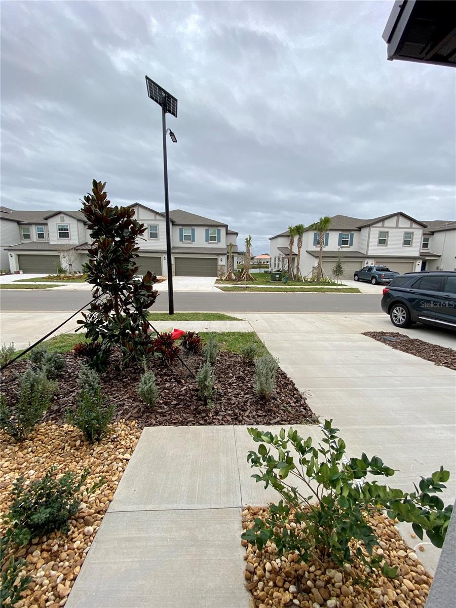 Image 3 of 34 For 10373 Lavender Aster Trail