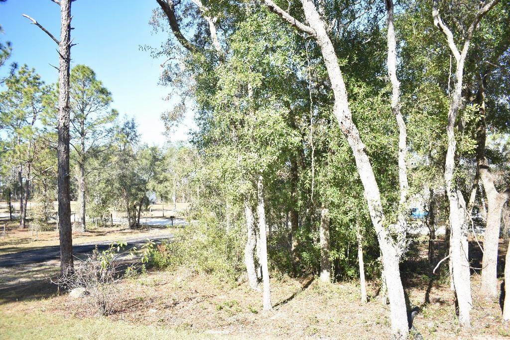 Image 49 of 85 For 13230 9th Street