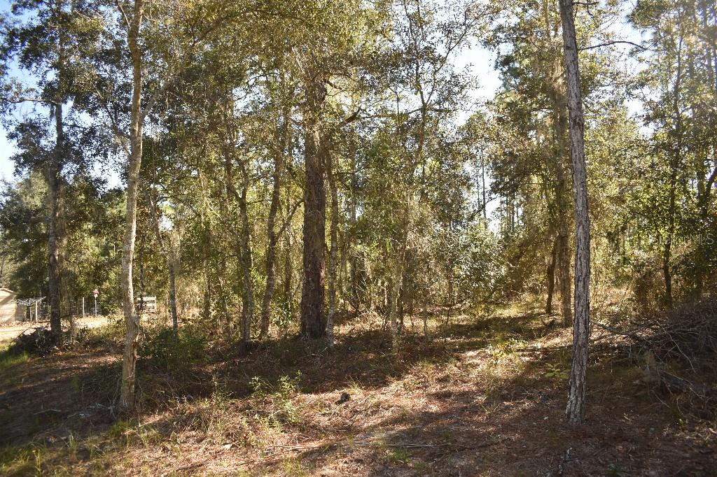 Image 58 of 85 For 13230 9th Street