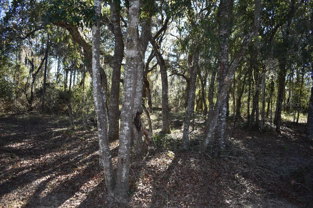 Image 62 of 85 For 13230 9th Street