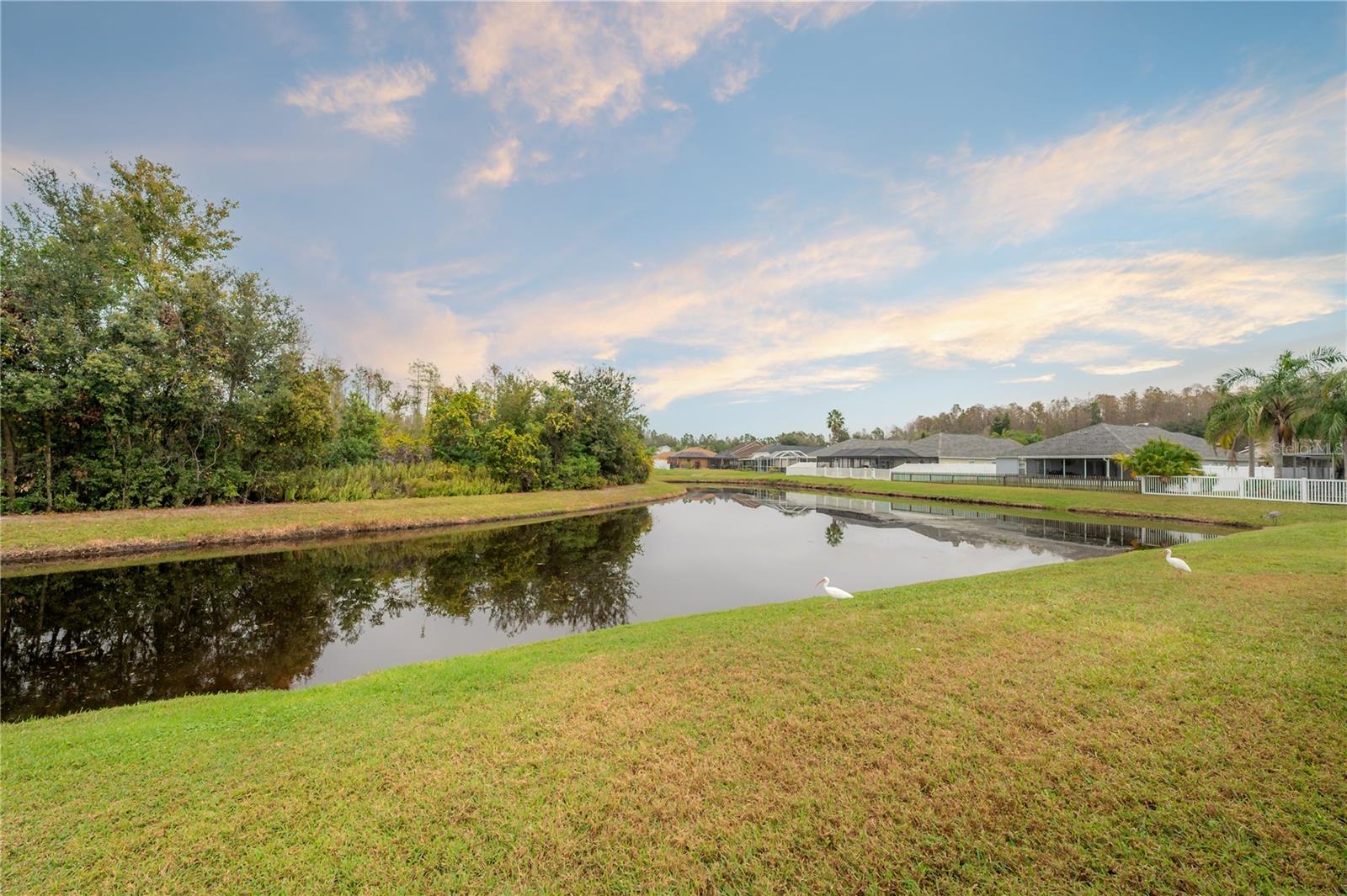 Image 41 of 68 For 31203 Hannigan Place