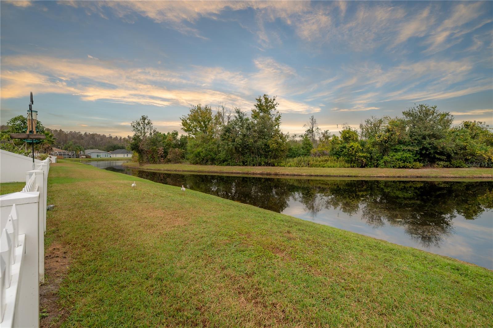 Image 42 of 68 For 31203 Hannigan Place