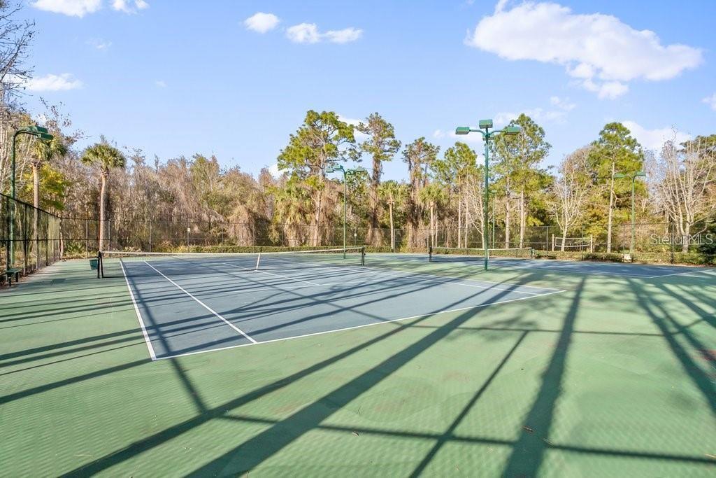 Image 61 of 68 For 31203 Hannigan Place