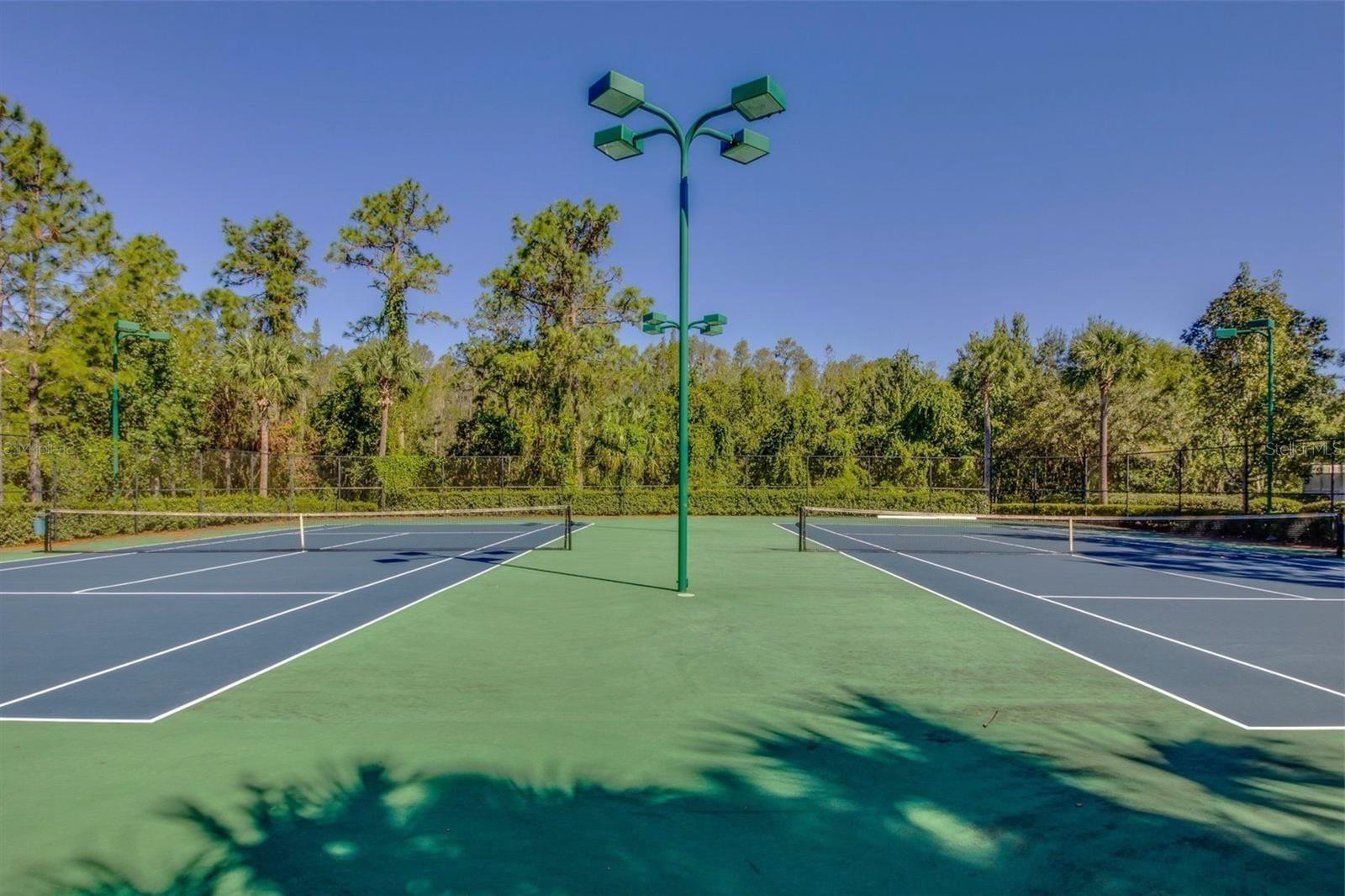 Image 63 of 68 For 31203 Hannigan Place