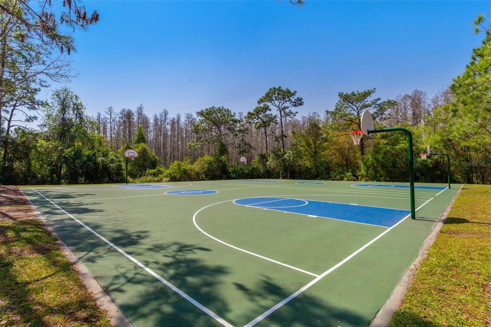 Image 64 of 68 For 31203 Hannigan Place