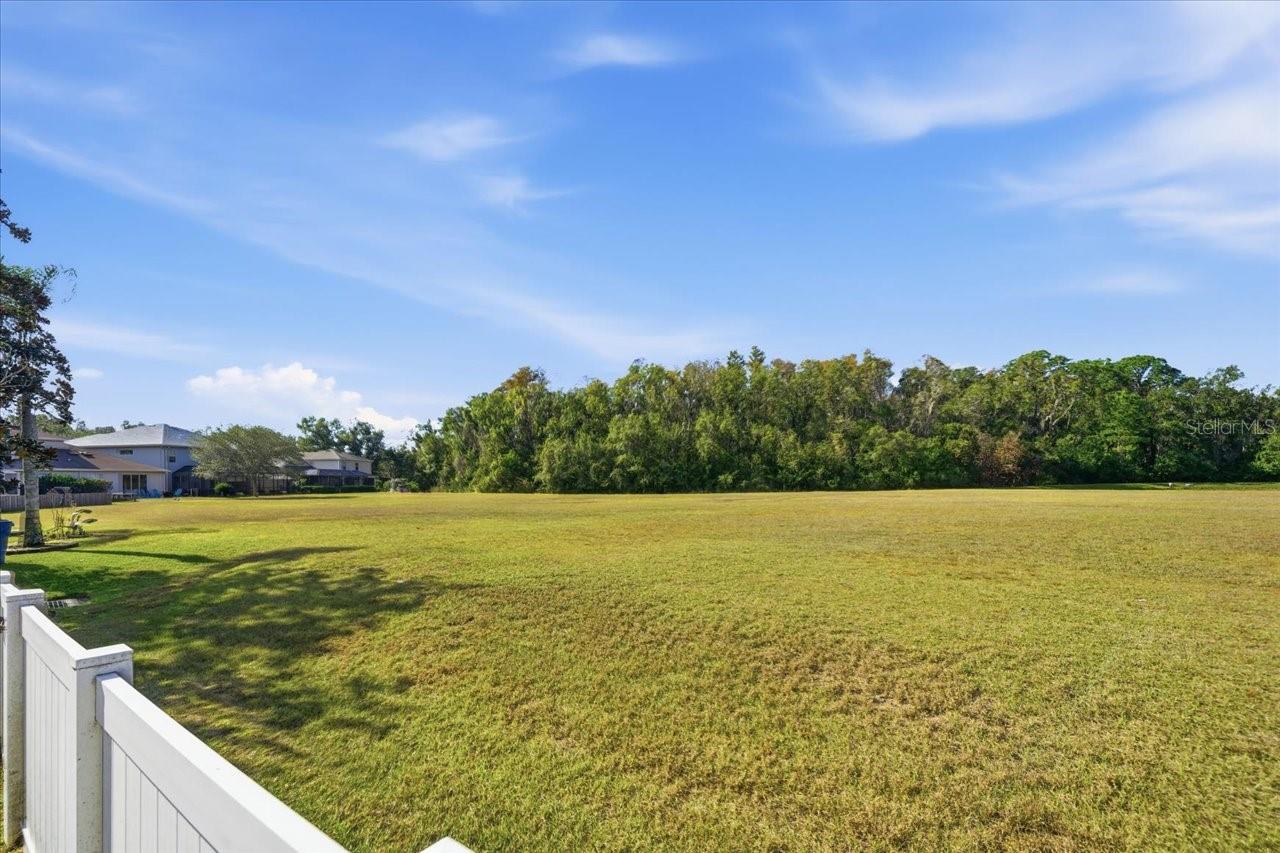 Image 27 of 38 For 18425 Cypress Bay Parkway