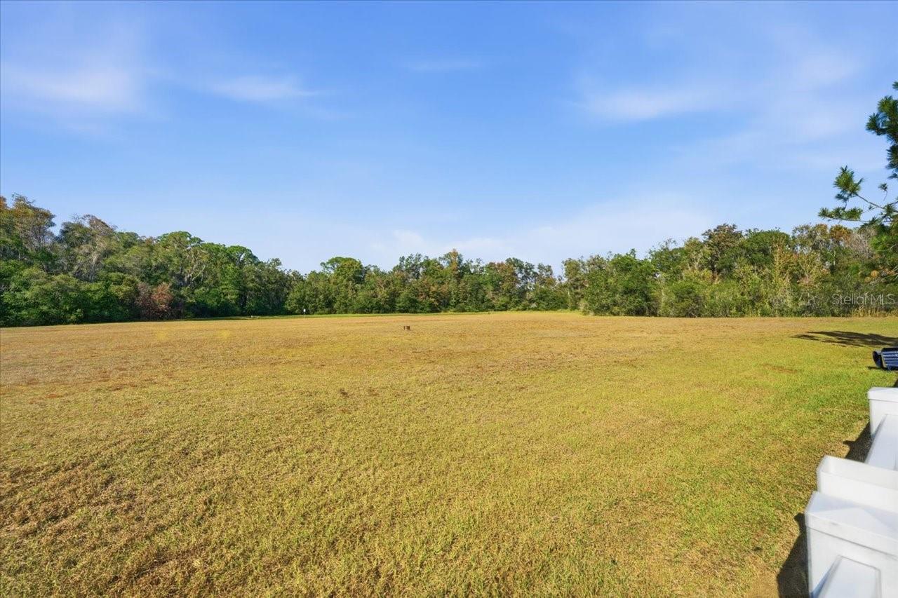 Image 29 of 38 For 18425 Cypress Bay Parkway