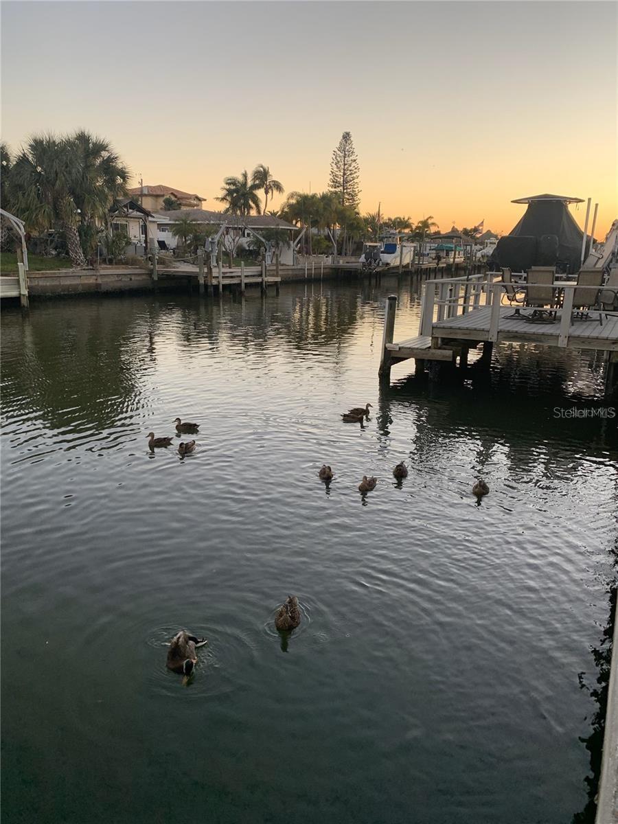 Image 2 of 26 For 8780 43rd Avenue N 131