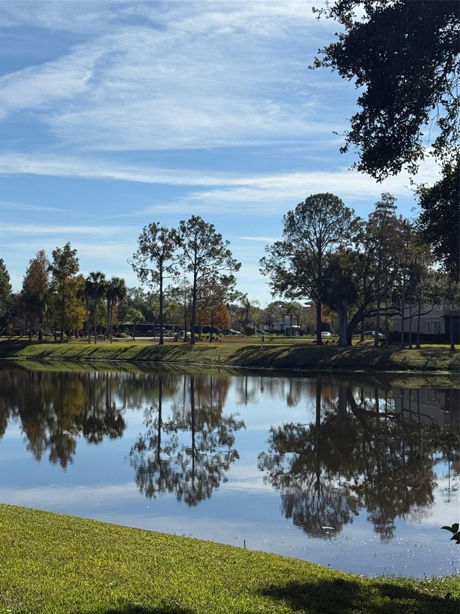 Image 52 of 56 For 4129 Northmeadow Circle