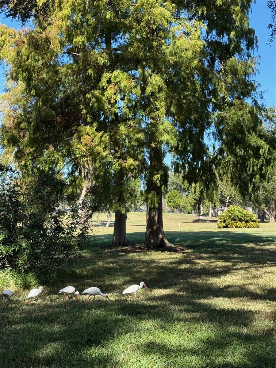 Image 53 of 56 For 4129 Northmeadow Circle