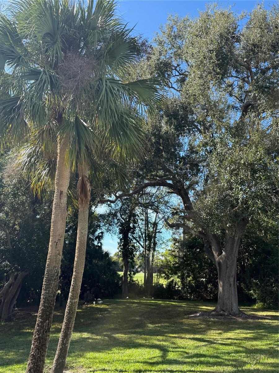 Image 55 of 56 For 4129 Northmeadow Circle