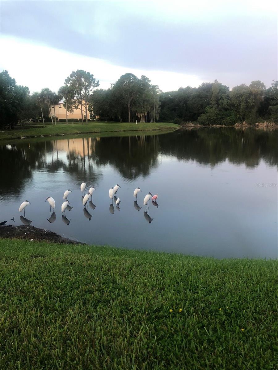 Image 56 of 56 For 4129 Northmeadow Circle