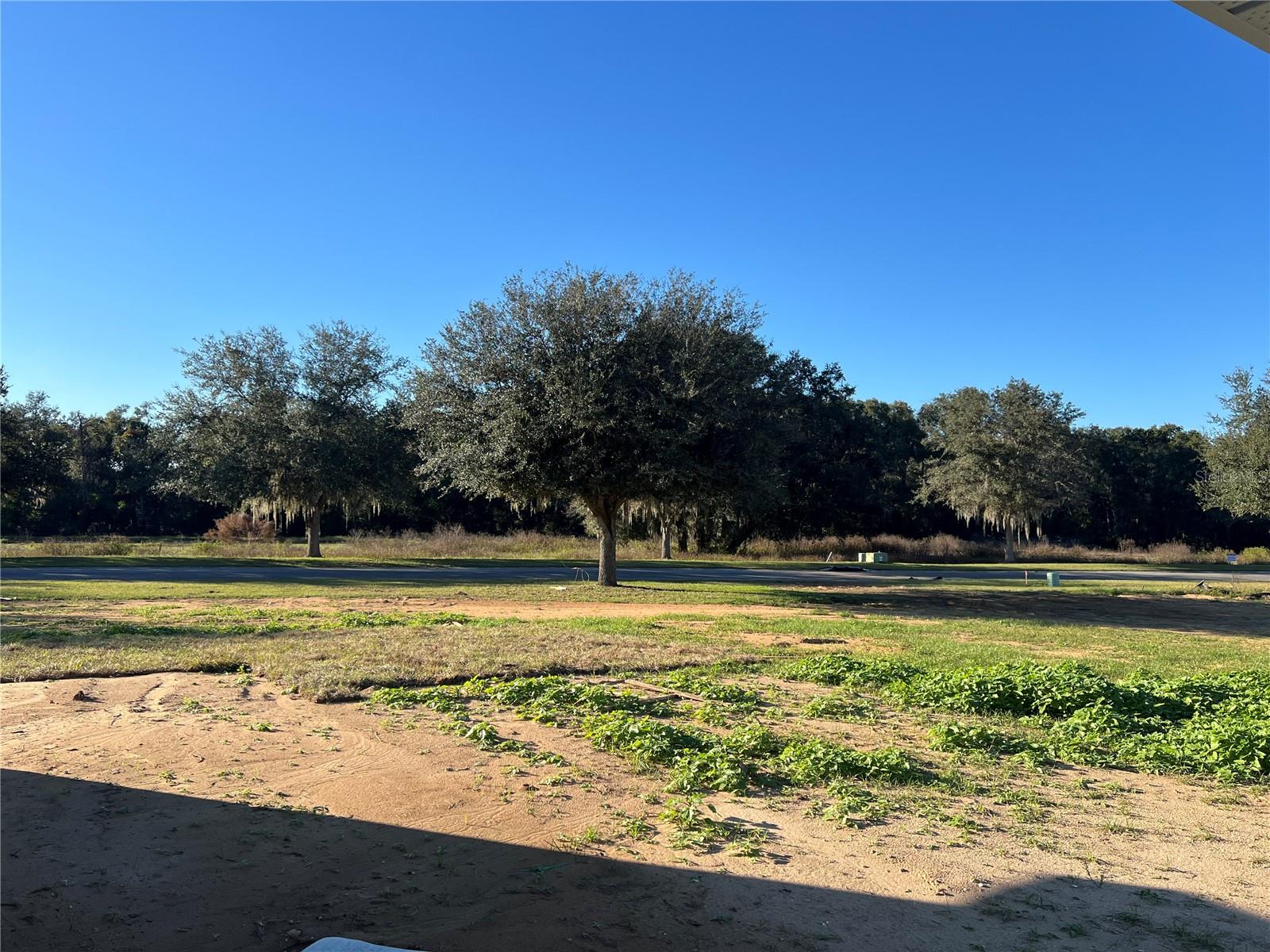 Image 3 of 5 For 37136 Hidden View