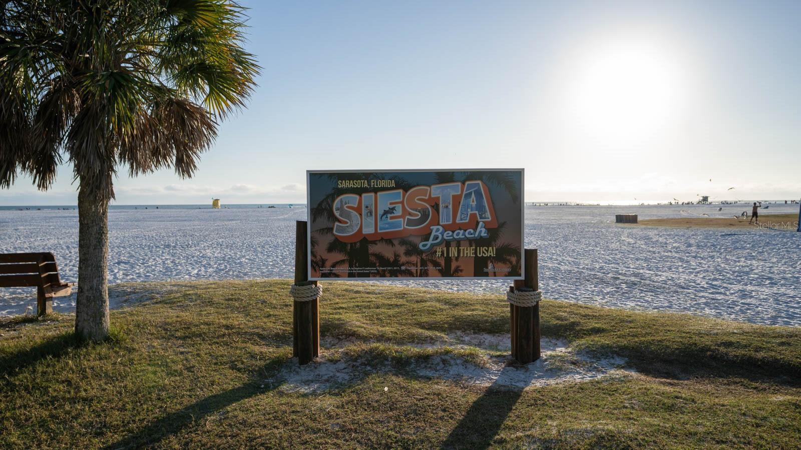 Image 42 of 49 For 2237 Michele Drive