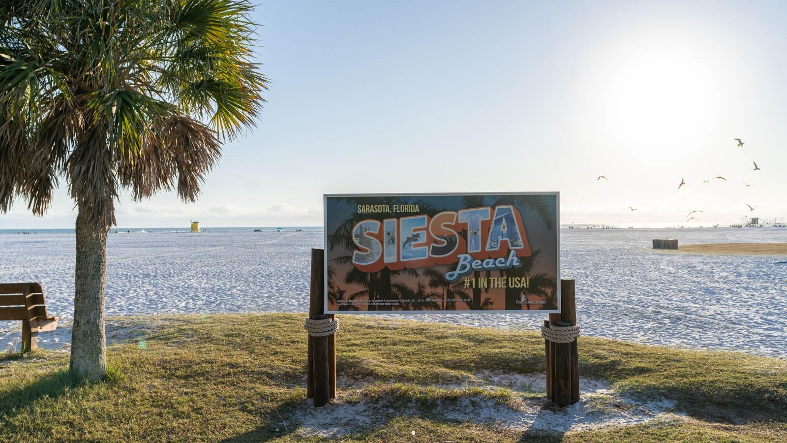 Image 9 of 49 For 2237 Michele Drive