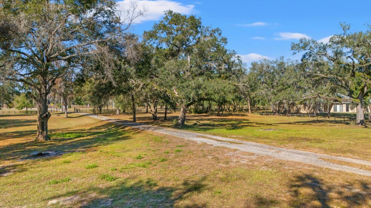 Image 59 of 60 For 12414 Fort King Road