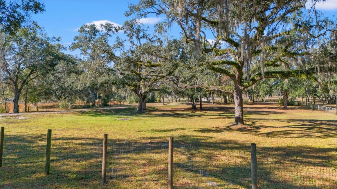 Image 7 of 60 For 12414 Fort King Road