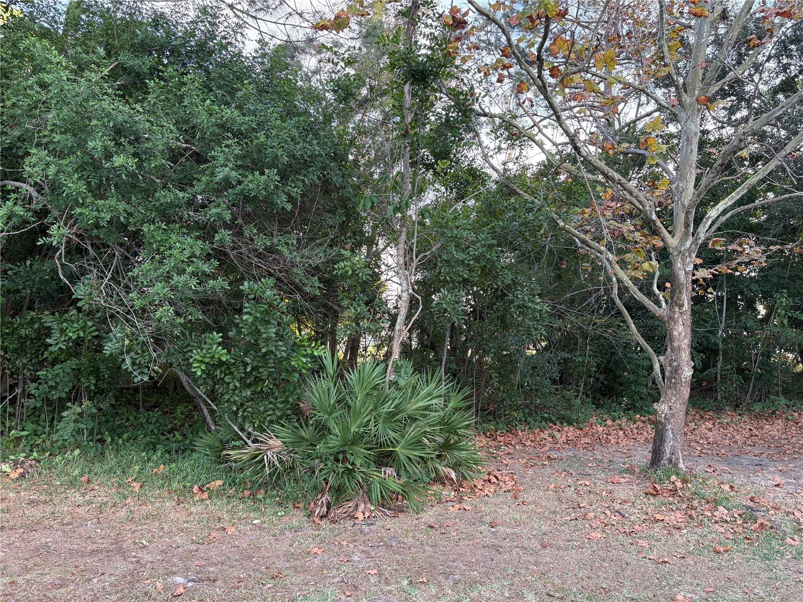 Image 23 of 23 For 2649 Clubhouse Drive S