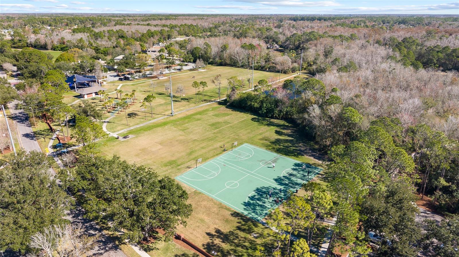 Image 65 of 67 For 12310 Seabrook Drive