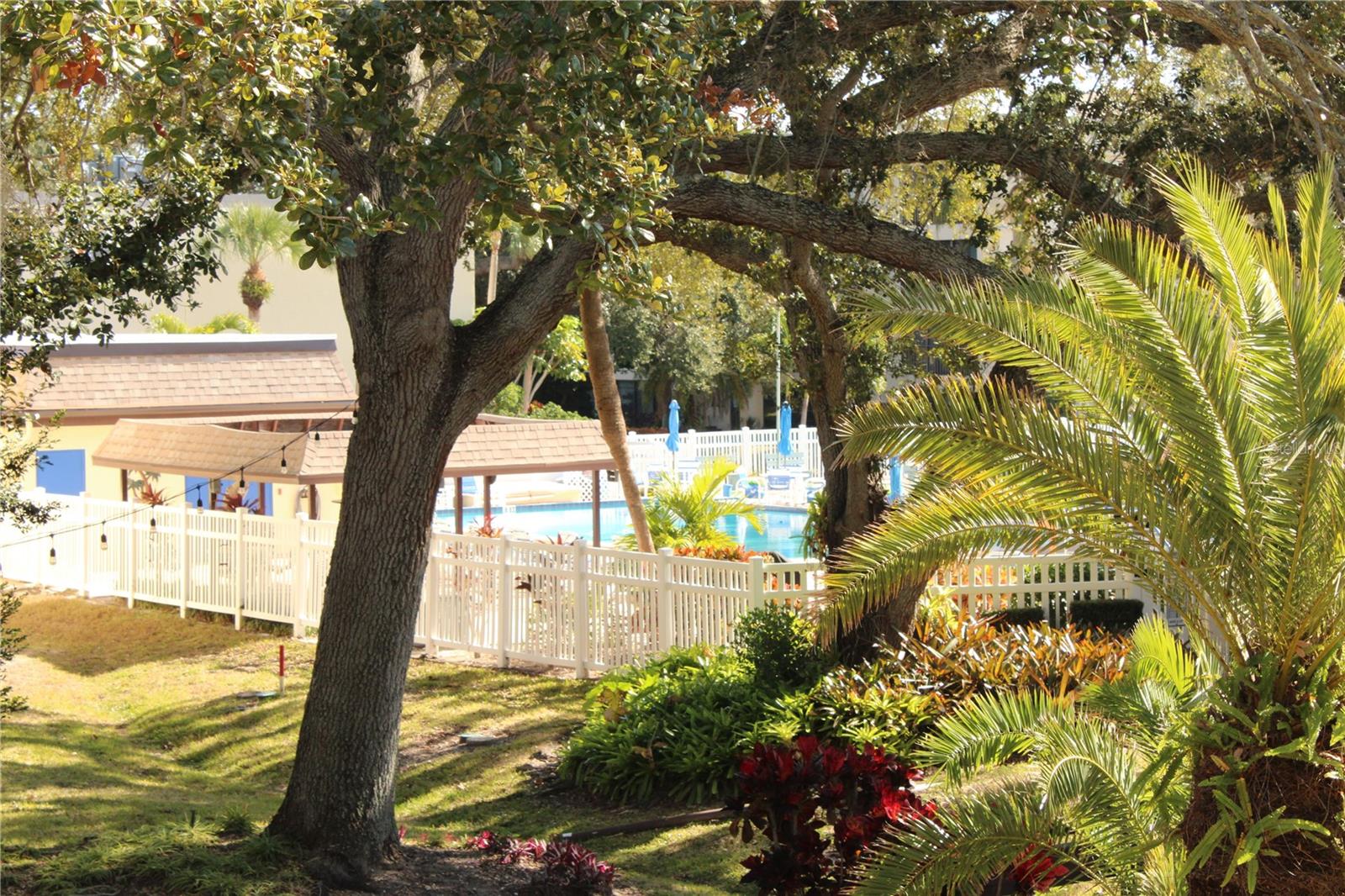 Listing photo id 32 for 11485 Oakhurst Road 1200-215