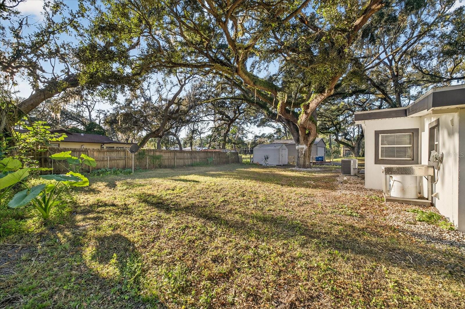 Image 10 of 32 For 34796 Gardenia Way