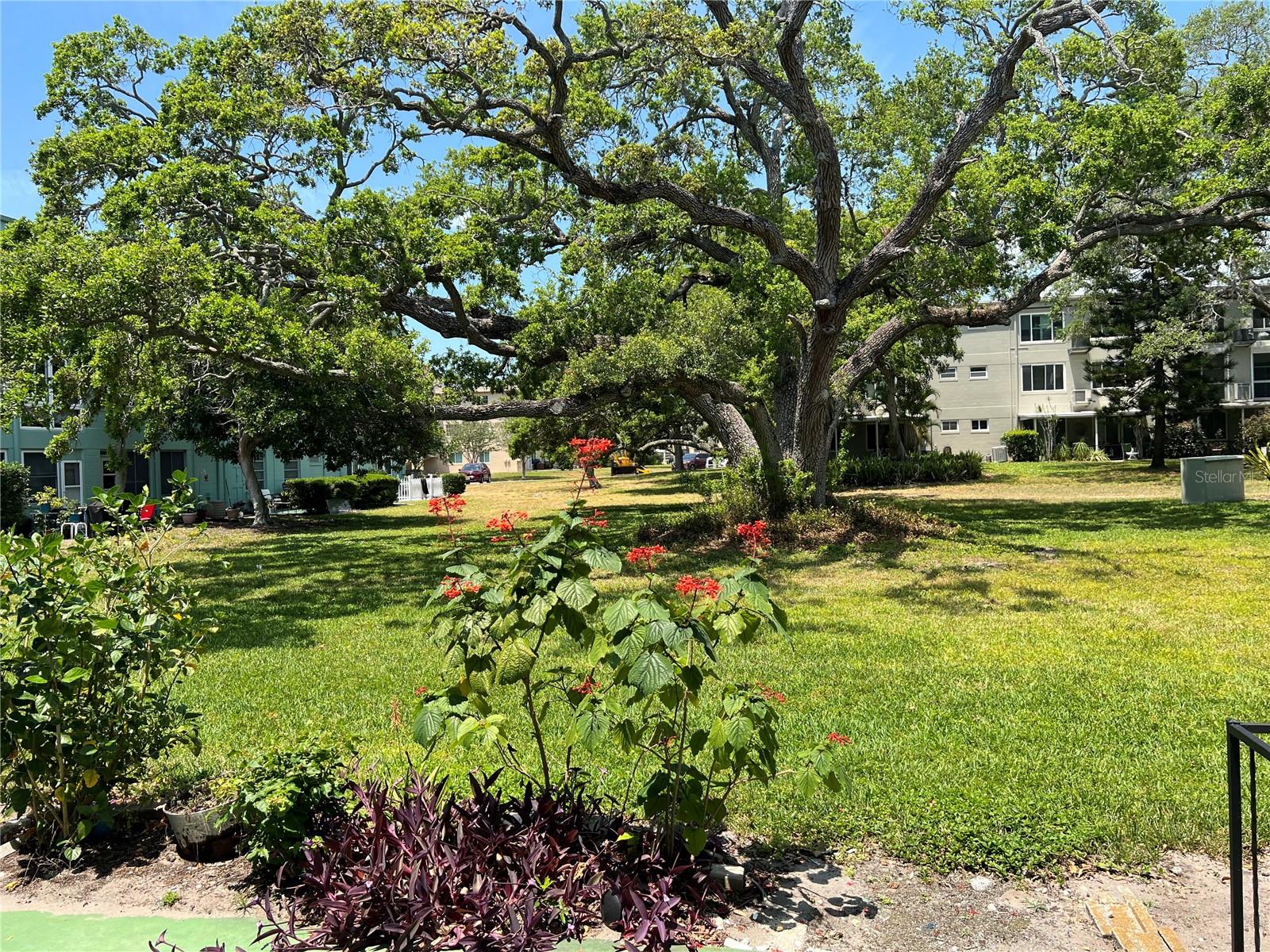 Image 15 of 36 For 2042 Australia Way W 22