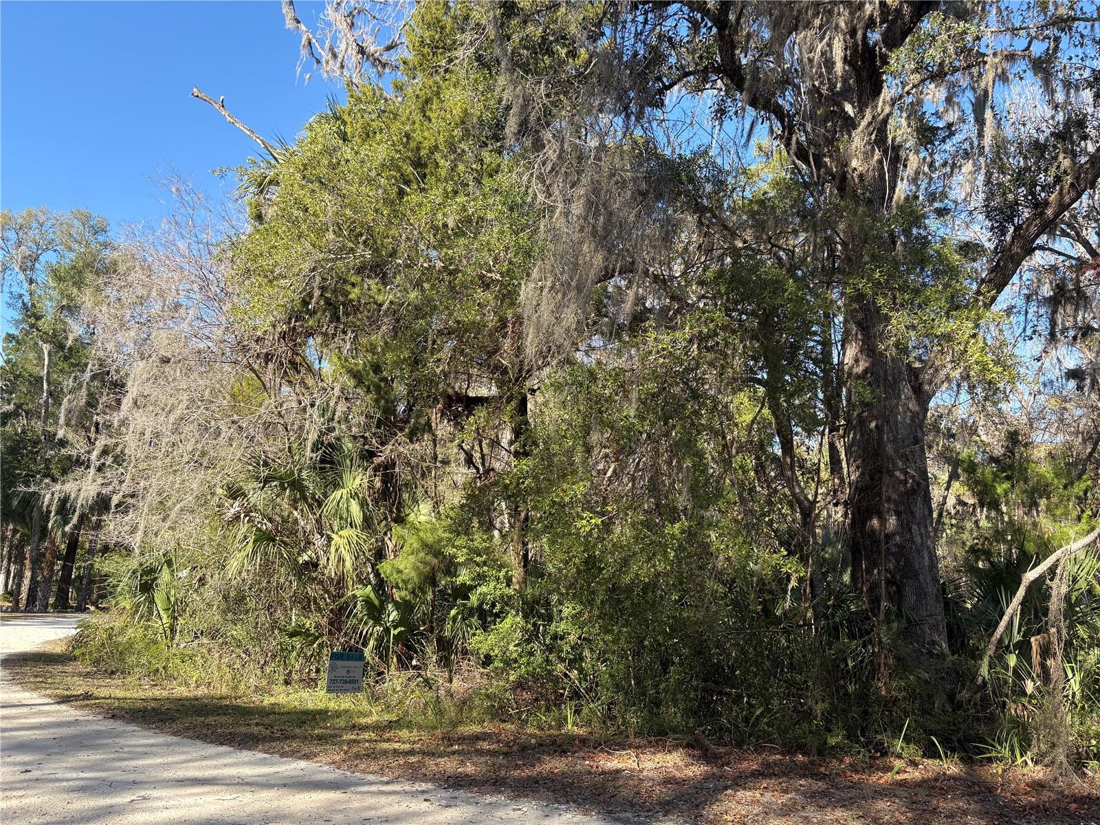 Image 3 of 5 For 399 Dew Plant Point