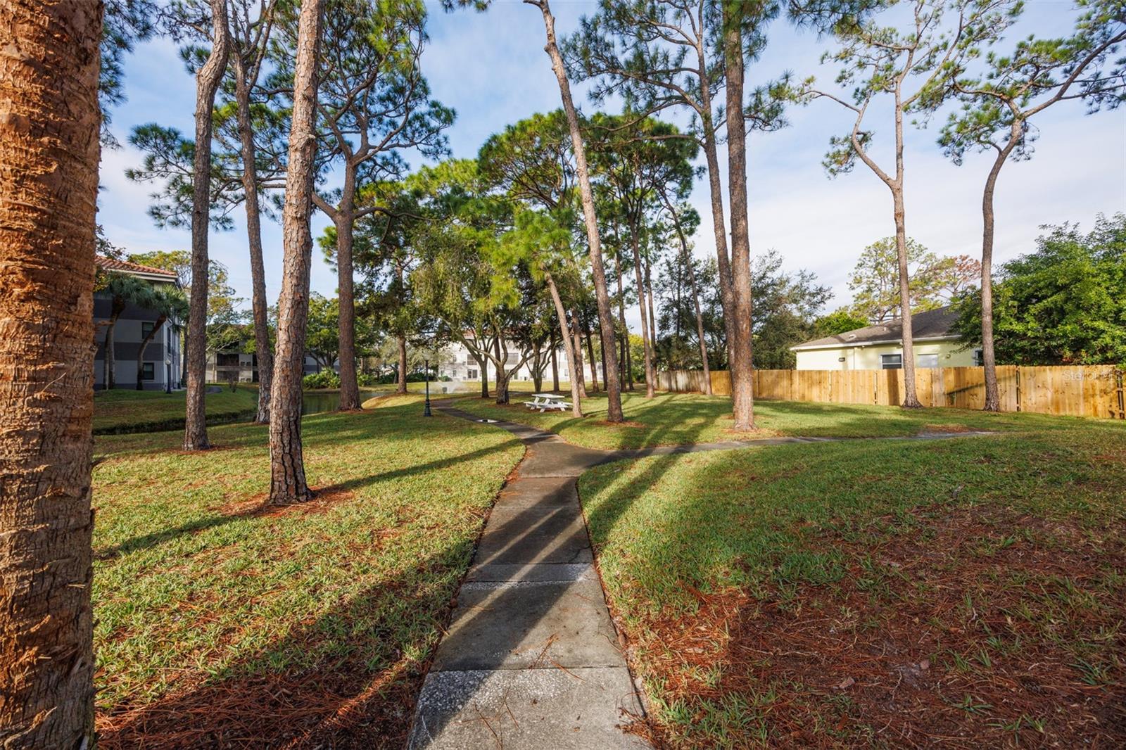 Image 32 of 42 For 2650 Countryside Boulevard F303