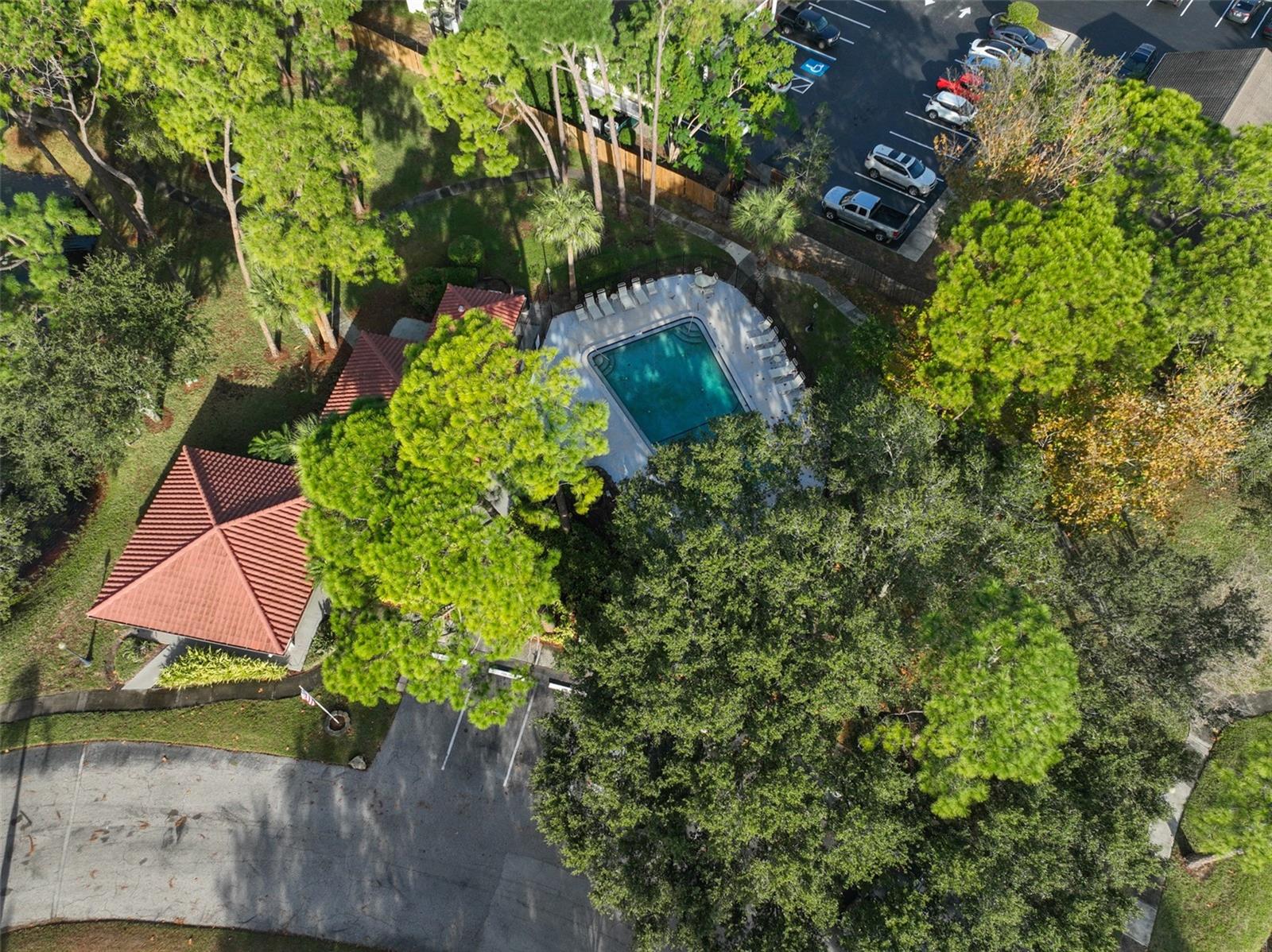 Image 41 of 42 For 2650 Countryside Boulevard F303