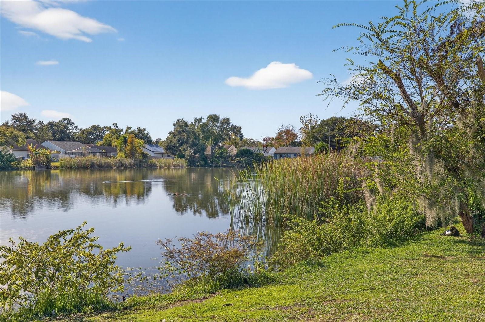 Image 6 of 33 For 7819 Chaperon Court