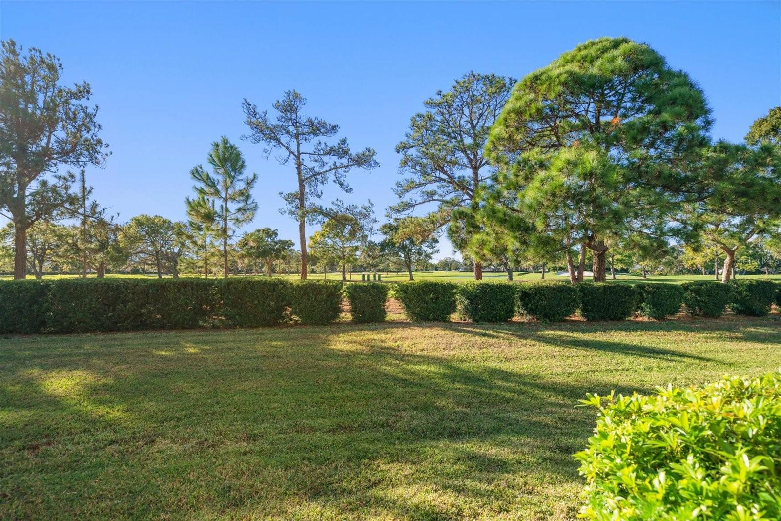 Image 12 of 80 For 49 Pelican Place