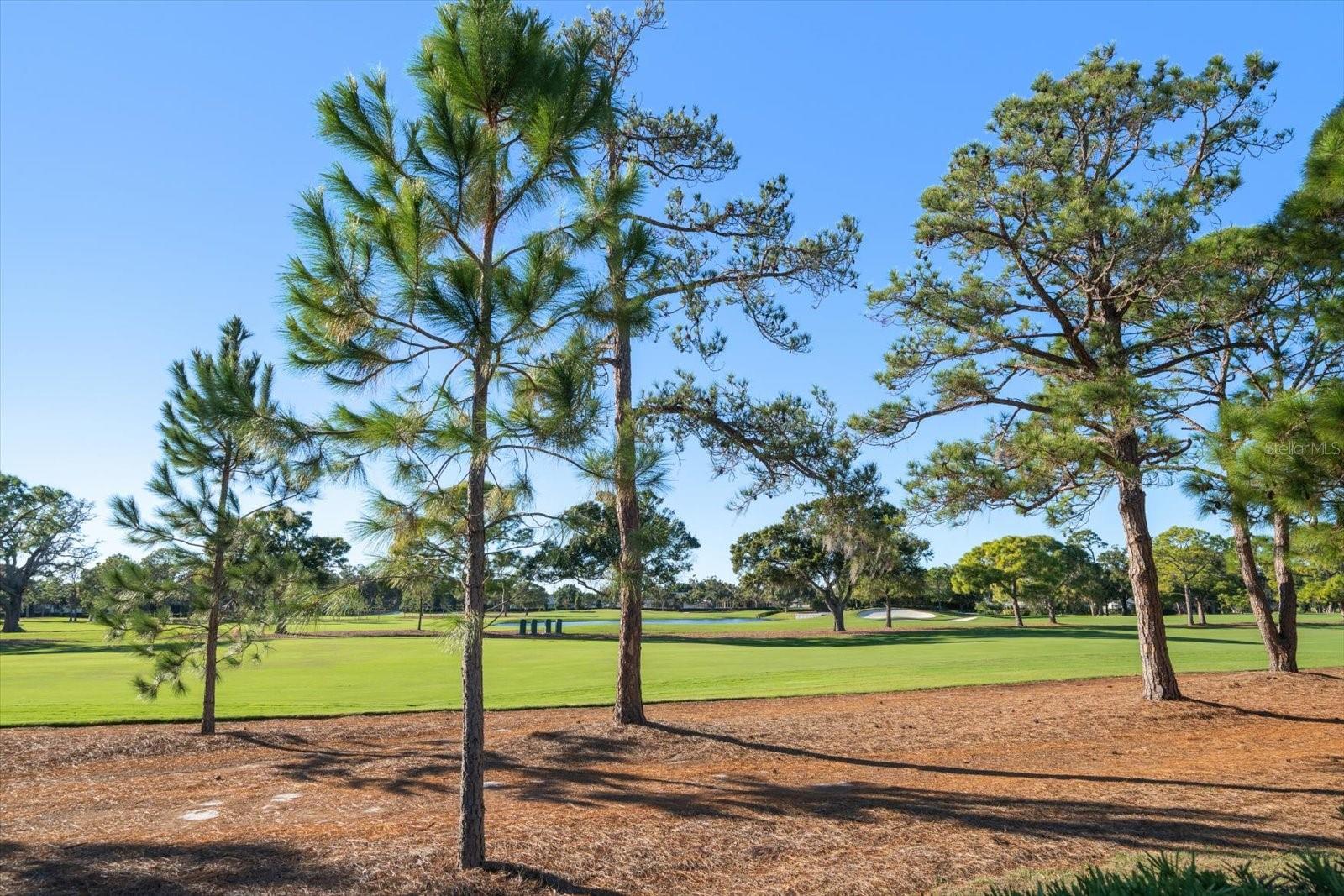 Image 63 of 80 For 49 Pelican Place