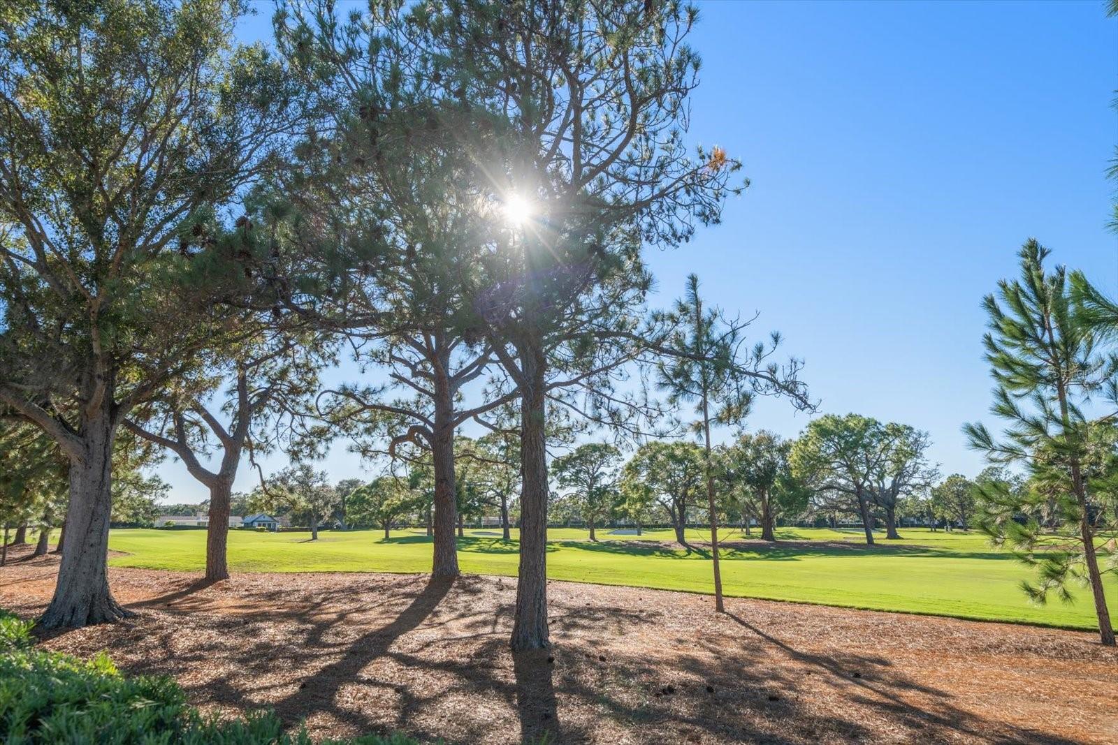 Image 67 of 80 For 49 Pelican Place