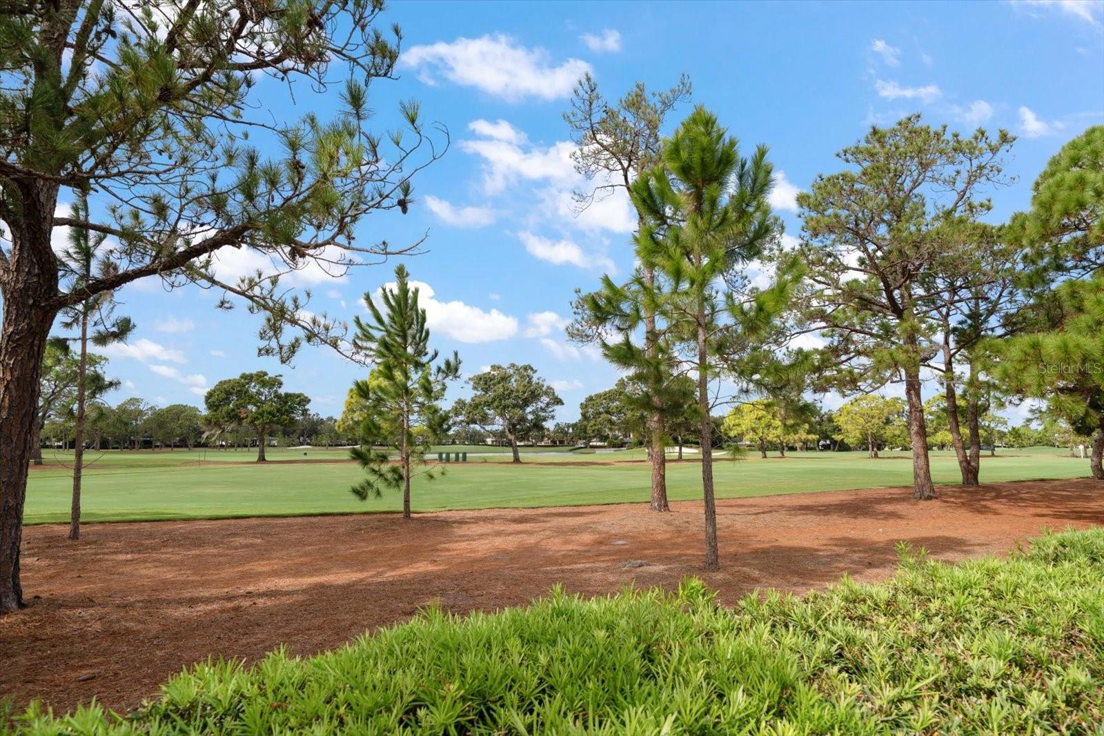 Image 78 of 80 For 49 Pelican Place