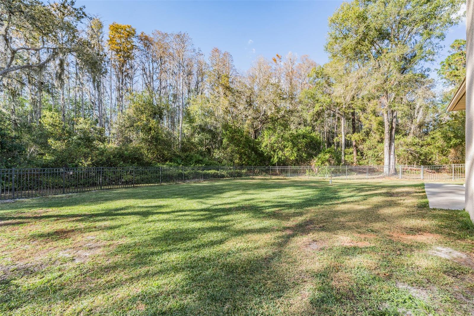 Image 40 of 45 For 1925 Schaer Way