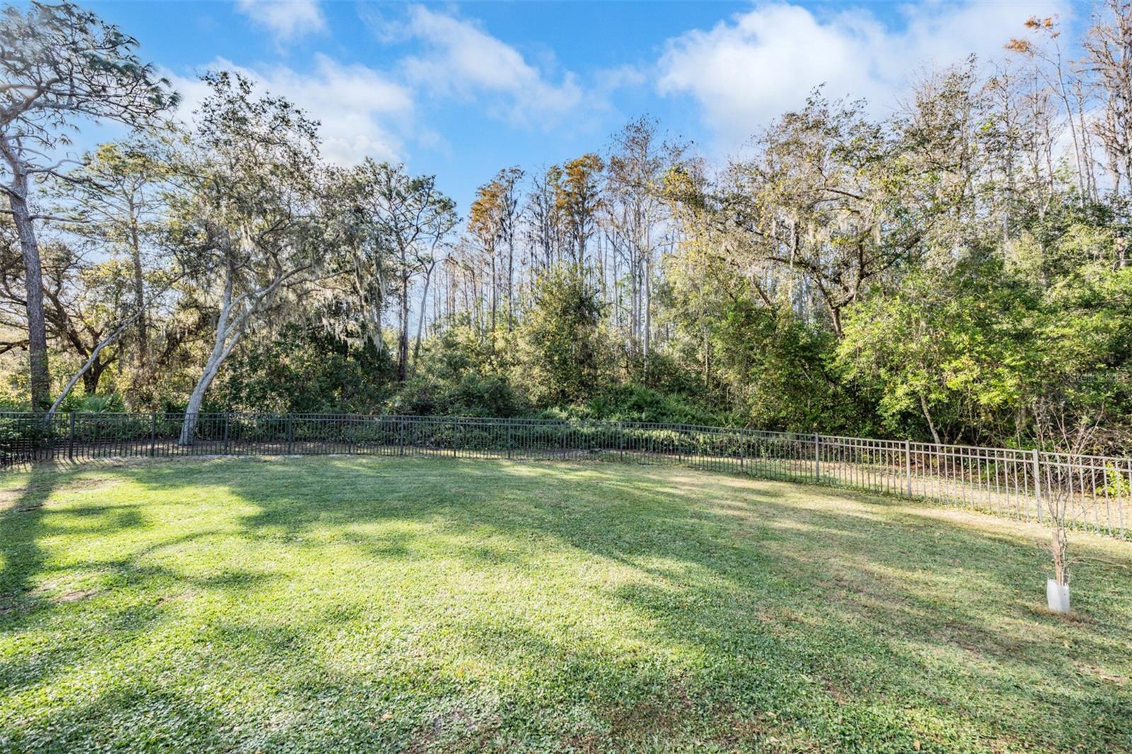 Image 42 of 45 For 1925 Schaer Way