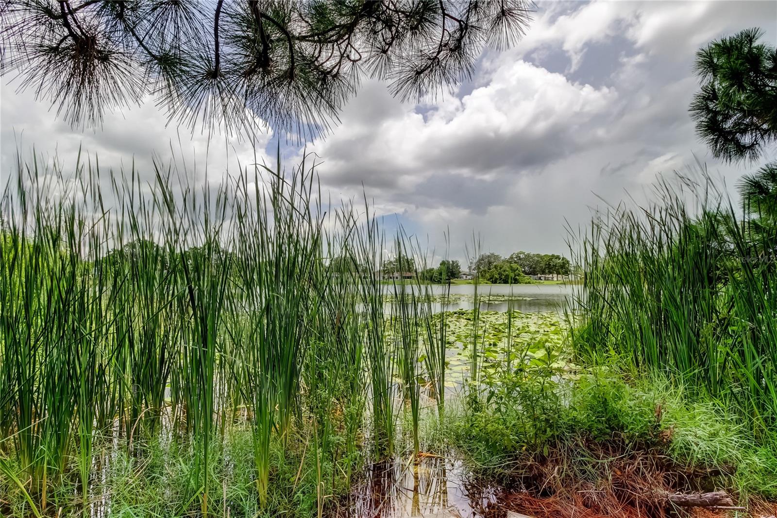 Image 45 of 48 For 12529 Mondragon Drive