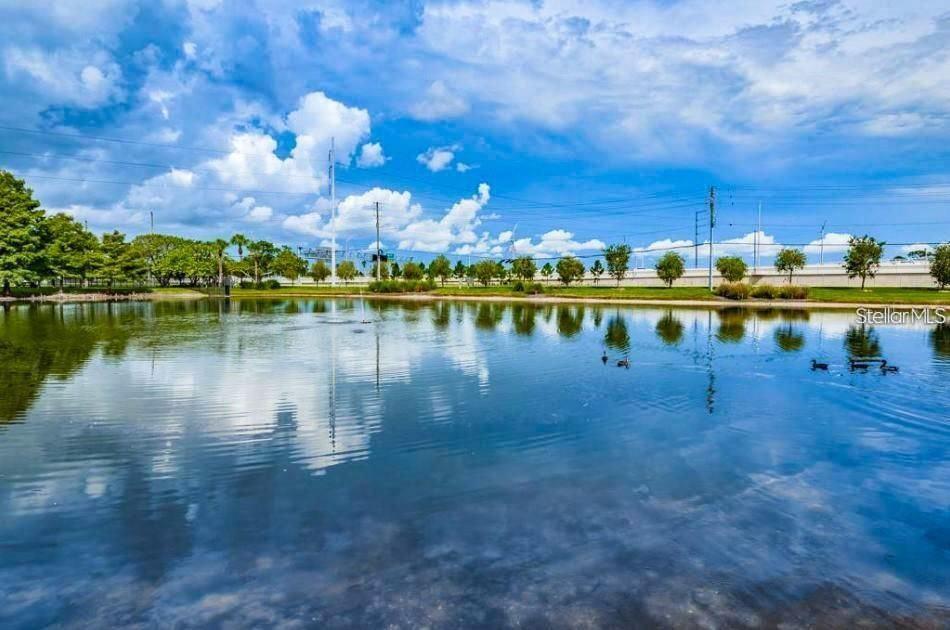 Image 58 of 85 For 1400 Gandy Boulevard N 1416