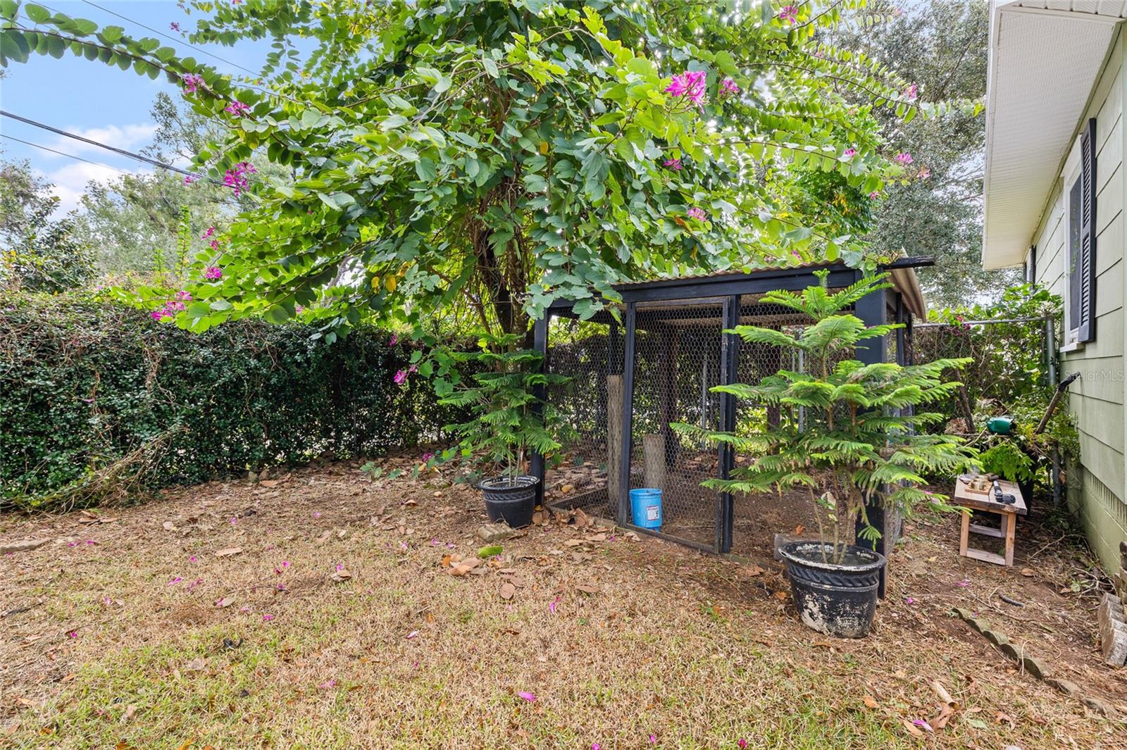 Image 38 of 44 For 37951 Coleman Avenue