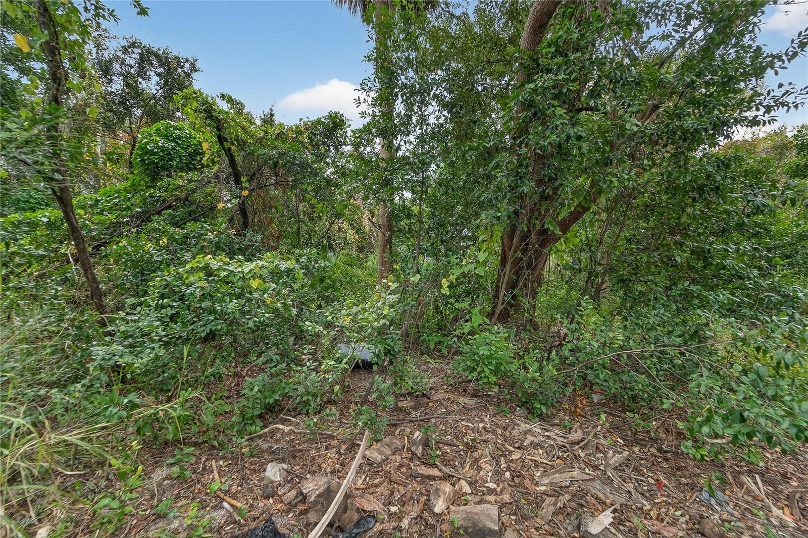 Image 14 of 48 For 2605 Brae Burn Drive