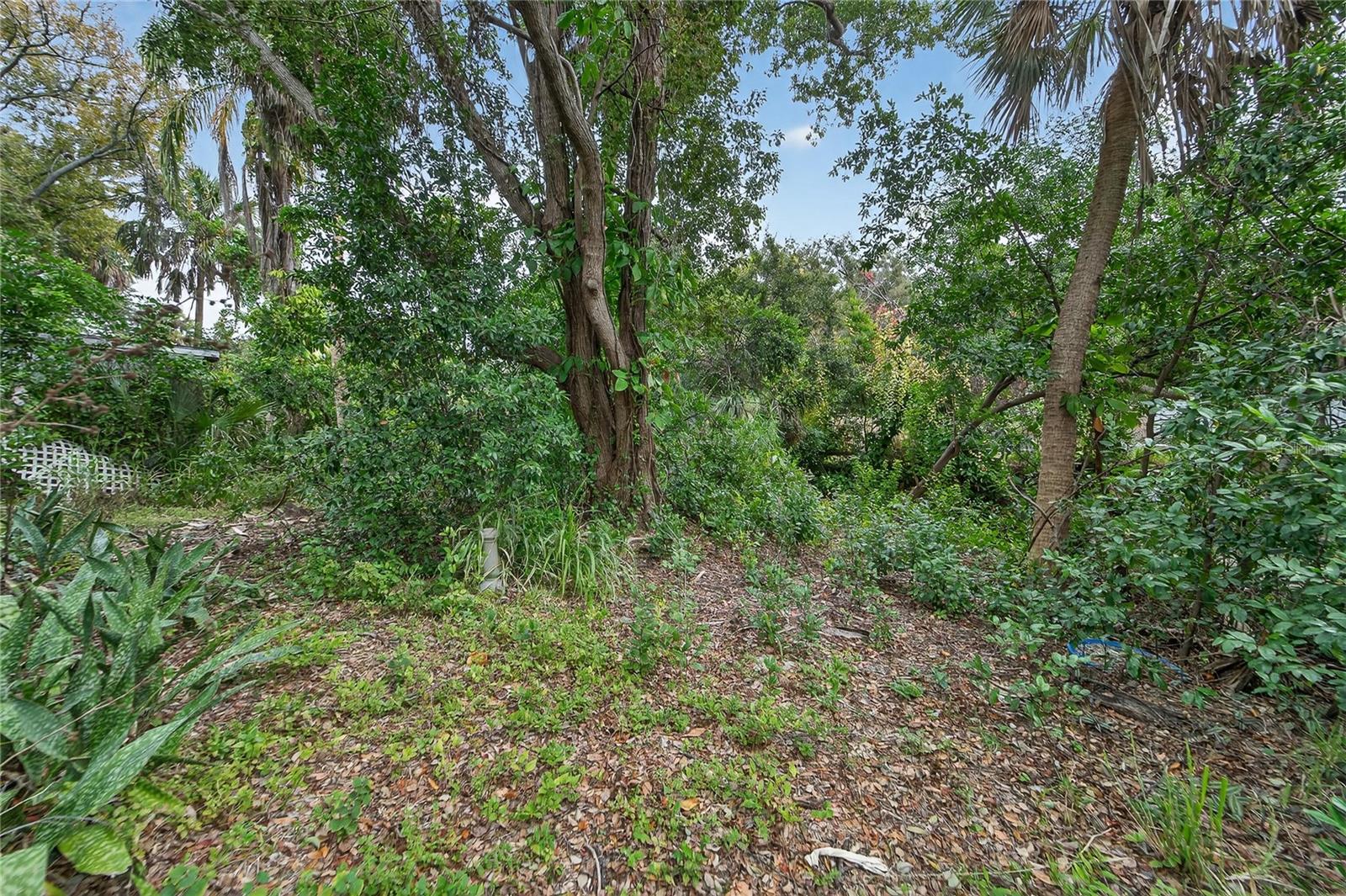 Image 7 of 48 For 2605 Brae Burn Drive