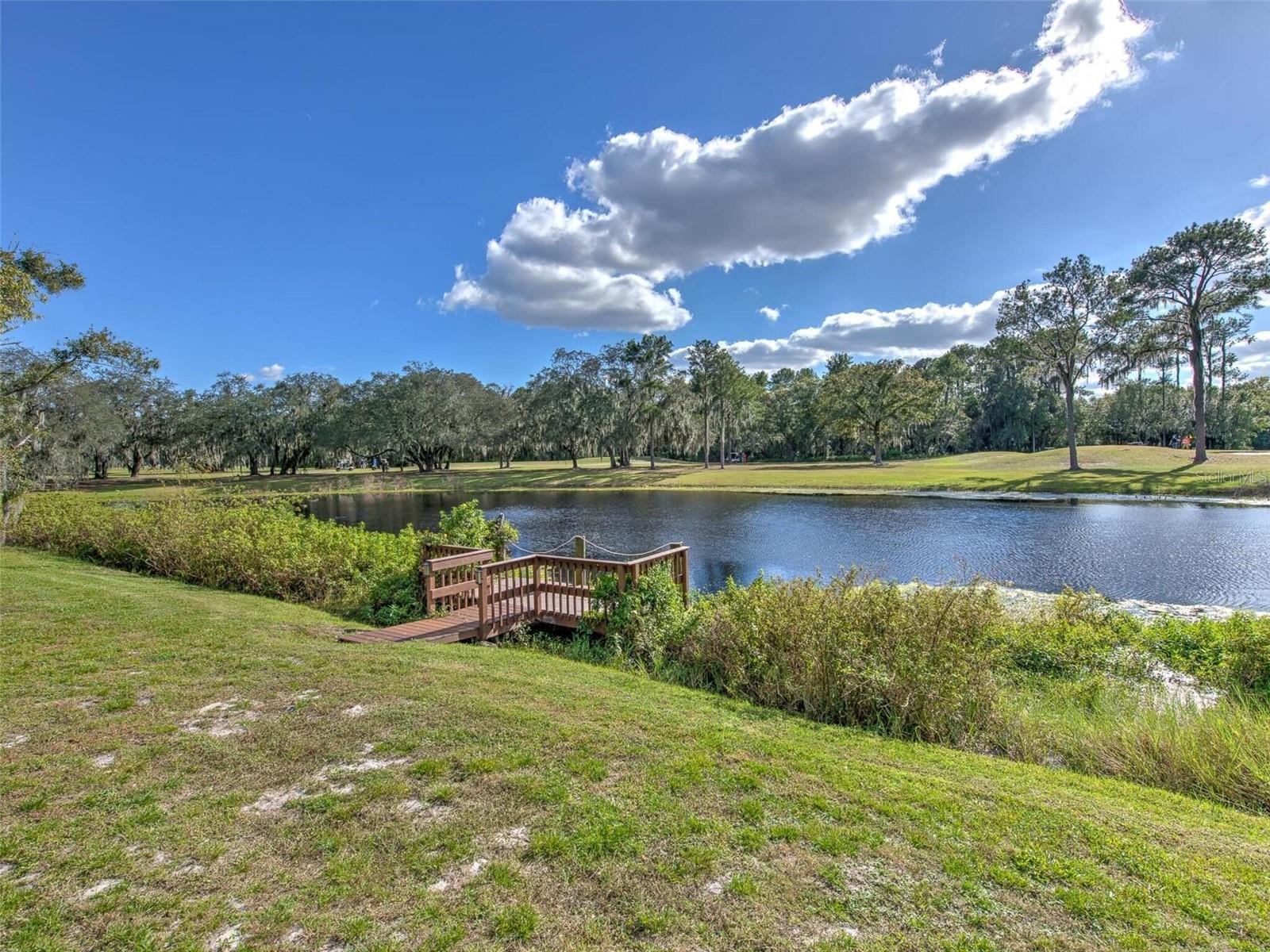 Image 34 of 36 For 1407 Holleman Drive