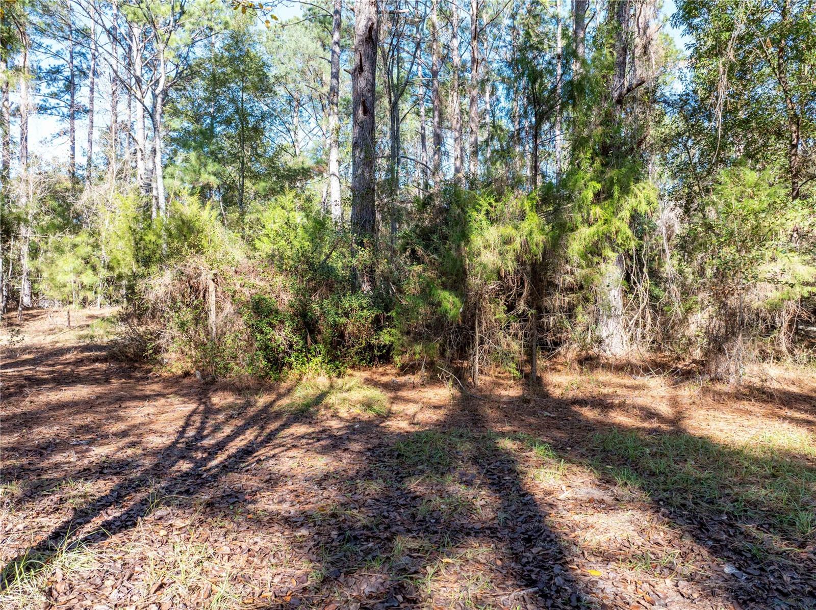 Image 22 of 27 For 11727 162nd Terrace